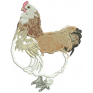 Big Fancy Hen With Grey And White Feathers Applique Machine Embroidery Design Digitized Pattern