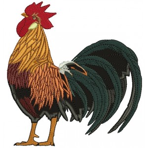 Majestic Golden Rooster Applique Machine Embroidery Design Digitized Pattern