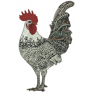 Fancy White And Black Rooster Filled Machine Embroidery Design Digitized Pattern