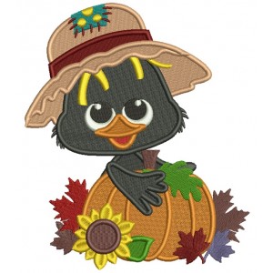 Cute Little Crow Holding Big Pumpkin Fall Thanksgiving Filled Machine Embroidery Design Digitized Pattern