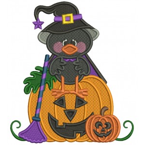 Little baby Crow Wizard Sitting On The Pumpkin Halloween Filled Machine Embroidery Design Digitized Pattern
