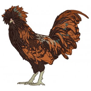 Fancy Brown Rooster Applique Machine Embroidery Design Digitized Pattern