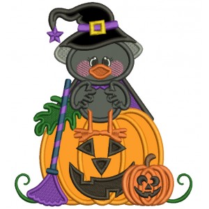 Little baby Crow Wizard Sitting On The Pumpkin Halloween Applique Machine Embroidery Design Digitized Pattern
