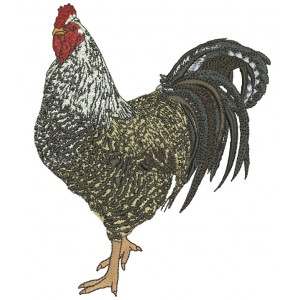 Rooster Named Juan Pedro Is a Custom Order That We Made For Irma Who Wanted Everyone To Stitch Him Out Filled Machine Embroidery Design Digitized Pattern