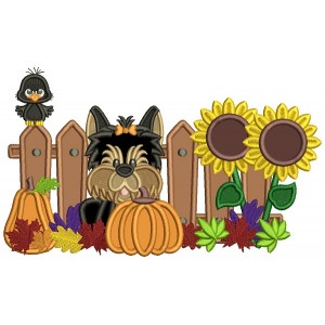 Cute Dog Pumpkins And Sunflowers Fall Thanksgiving Applique Machine Embroidery Design Digitized Pattern
