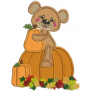 Cute Little Bear Sitting On The Giant Pumpkin With Leaves Fall Applique Machine Embroidery Design Digitized Pattern
