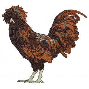 Fancy Brown Rooster Filled Machine Embroidery Design Digitized Pattern