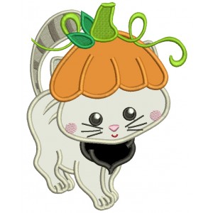 Little Kitten Wearing Pumpkin Hat Thanksgiving Applique Machine Embroidery Design Digitized Pattern
