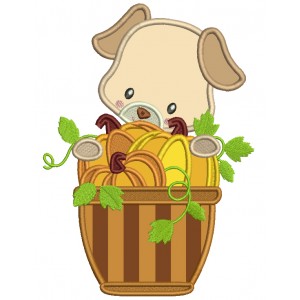Cute Little Puppy With a Basket Full Of Pumpkins Thanksgiving Applique Machine Embroidery Design Digitized Pattern