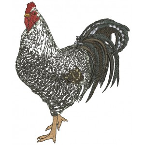 Rooster Named Juan Pedro Is a Custom Order That We Made For Irma Who Wanted Everyone To Stitch Him Out Applique Machine Embroidery Design Digitized Pattern