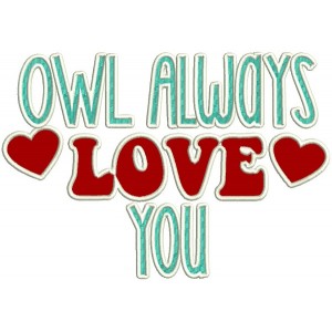 Owl Always Love You Applique Valentine's Day Machine Embroidery Design Digitized Pattern