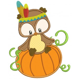 Owl That Looks Like Indian Sitting on a Pumpkin Thanksgiving Applique Machine Embroidery Digitized Design Pattern