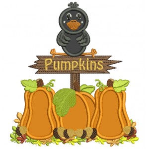 Little Crow in a Pumpkin Patch Applique Machine Embroidery Digitized Design Pattern