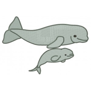 Beluga Whale Filled Machine Embroidery Design Digitized Pattern