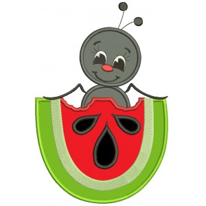 Cute Ant Inside Watermelon Insect Applique Machine Embroidery Digitized Design Pattern